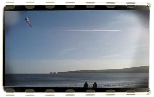 Kite