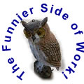 The Funny Side