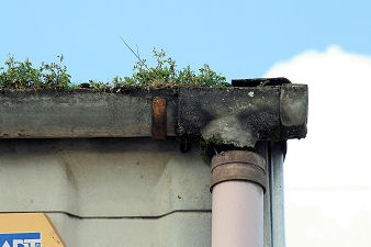 Gutter relining