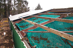 Existing asbestos cement roof, cladding and guttering replaced